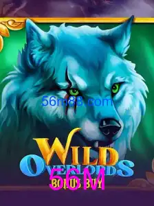 WildOverlordsBonusBuy